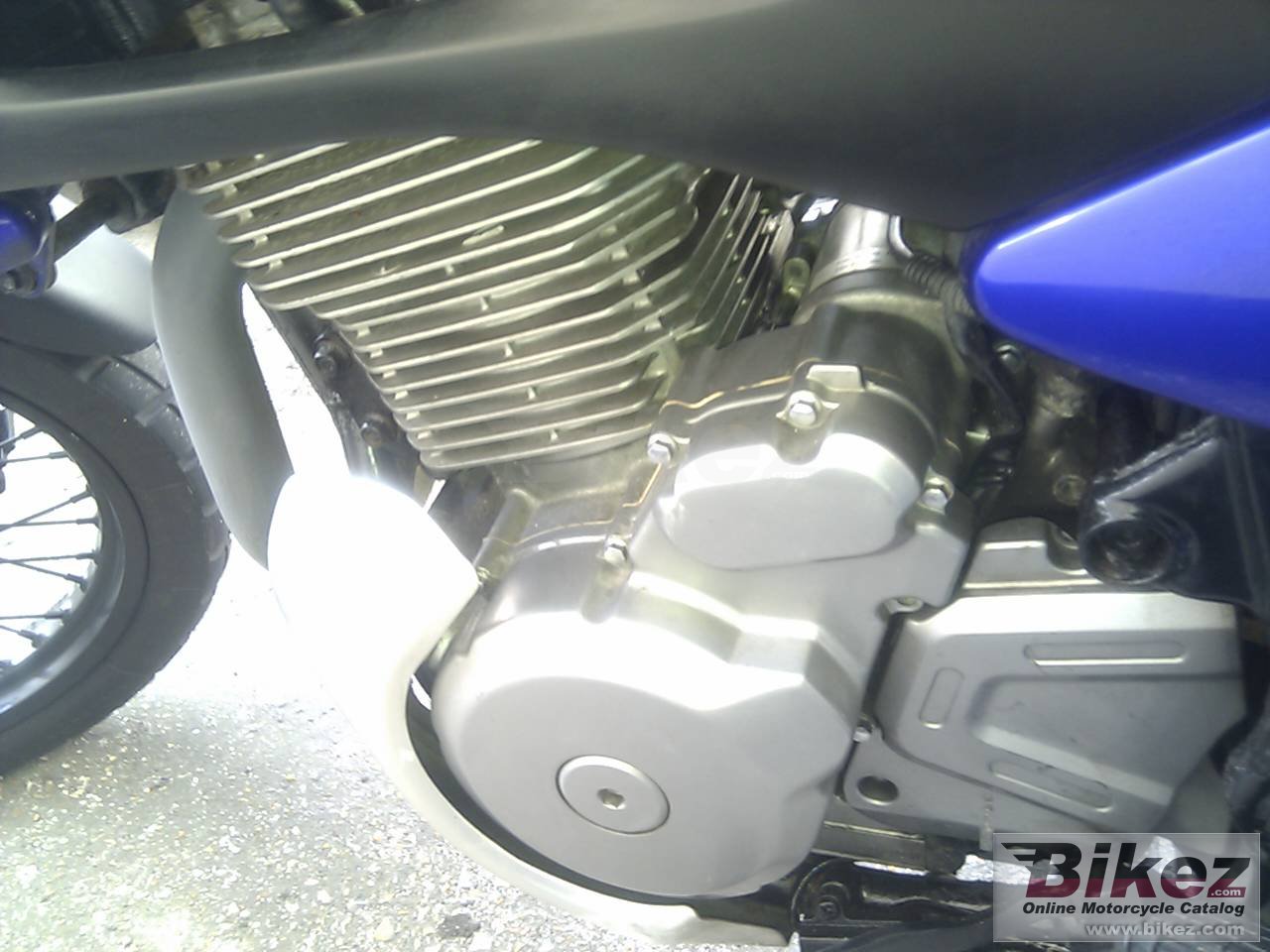 Cupolino Alto XF 650 Freewind 2000/2004 Ermax Fume – Per Moto, Pronto Al Montaggio